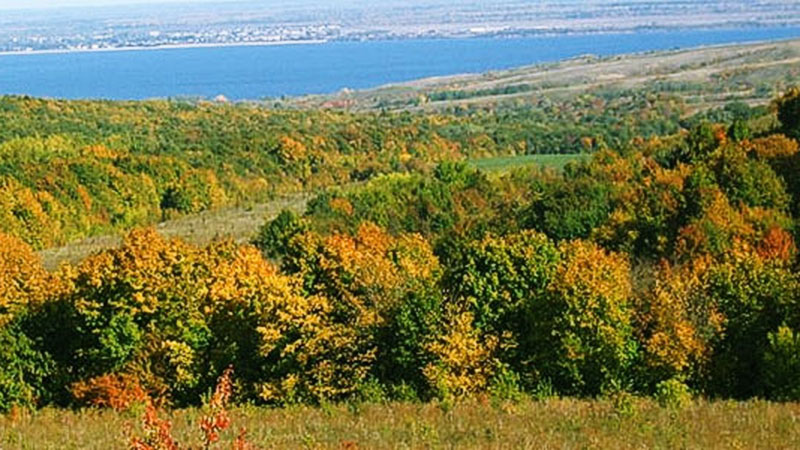 Красная книга Хвалынского района